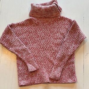 Banana Republic Rose Marled Turtleneck Sweater